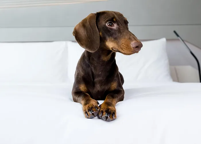 Hotel Barcelona Condal Mar Affiliated by Meliá