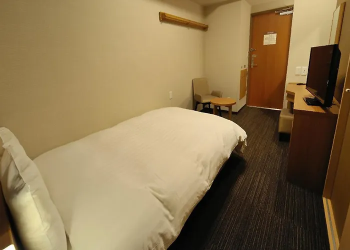 Hotel: Dormy Inn Akihabara