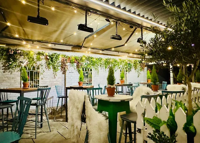 Dog friendly hotels Oddfellows Chester & Apartments
