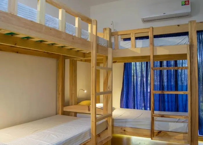 Green Nest Hostel - Anjuna - North Goa
