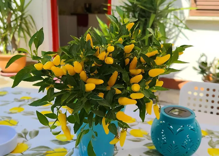 Giallo Limone B&B