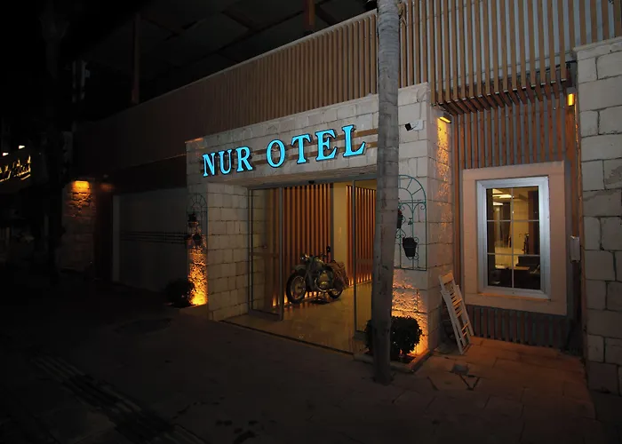 Nur