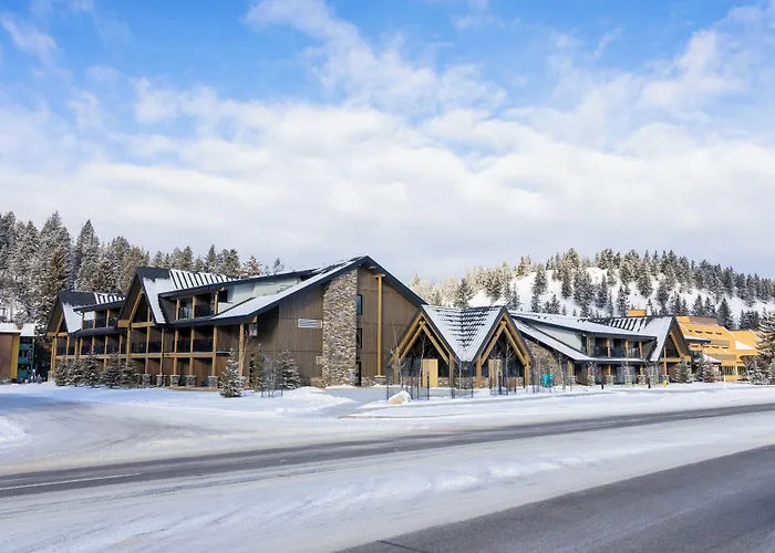 Cheap hotels Forest Park