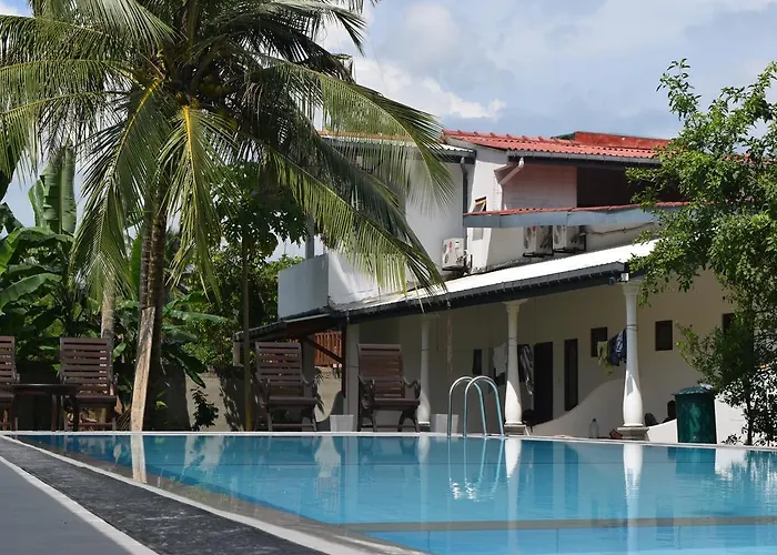 Pets Allowed Hotel Star Holiday