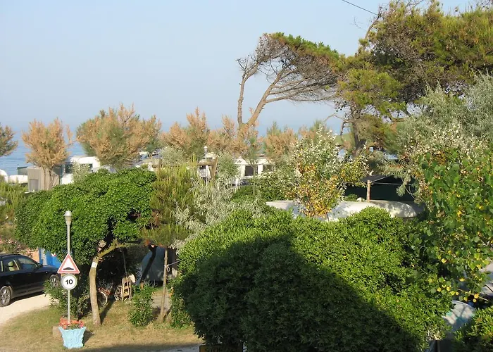 Hotel vicino al College: Camping La Pineta