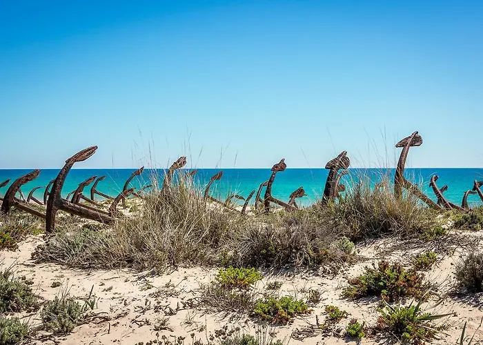 Hotel que admite mascotas: Pedras D'el Rei