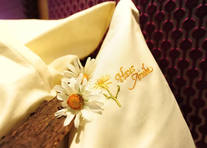 Hotels With Four Stars Arnika
