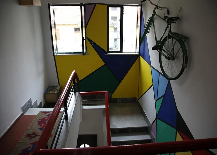 Pet Friendly hotel: Trip'N'Hostel
