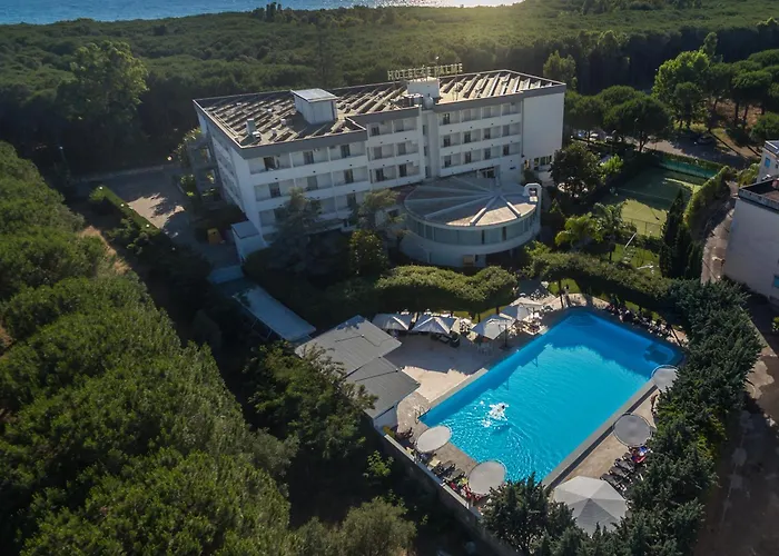 Hotel adatto agli animali: Hotel Le Palme