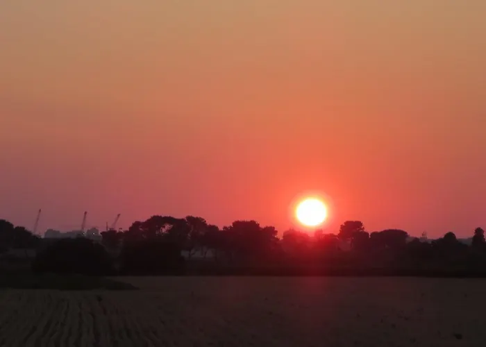 Hotel sulla spiaggia: Colomba Bianca