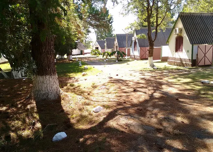  Comodoro De Bagé