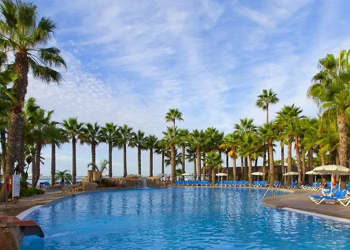 Animaux admis Marbella Playa