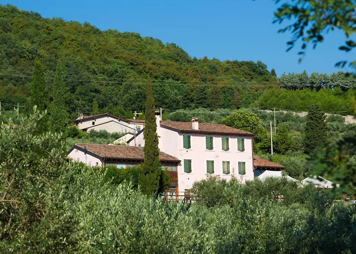 Casa Rosa