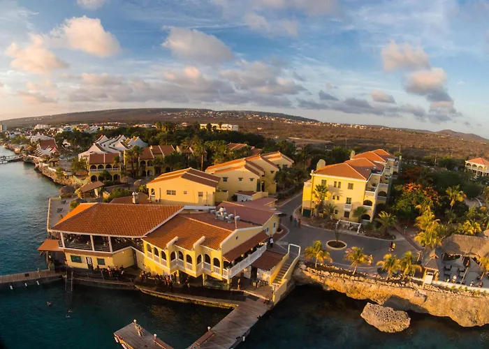 3 star hotel: Buddy Dive Resort