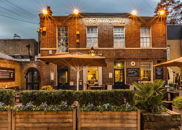 Family Hotel: The Windmill On The Common