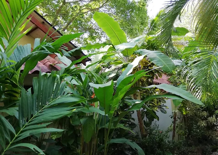 Funky Monkey Lodge