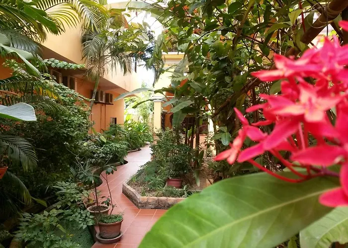 Robam Inn