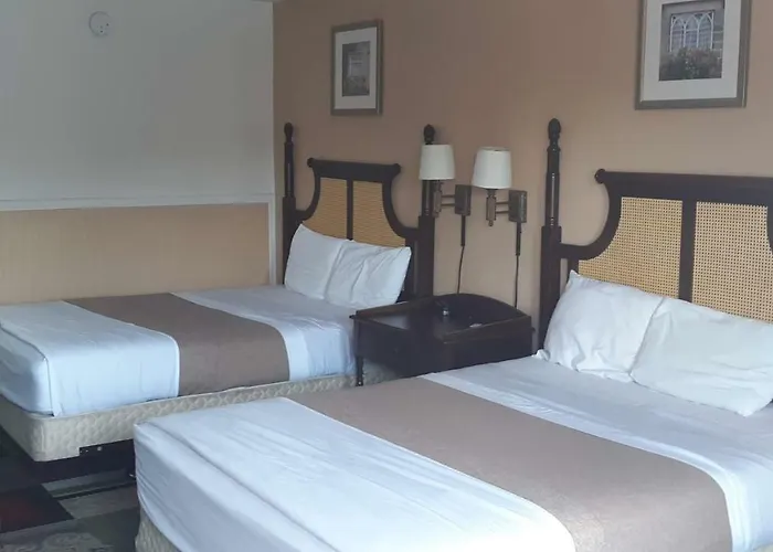 Motel: Maingate Florida Hotel