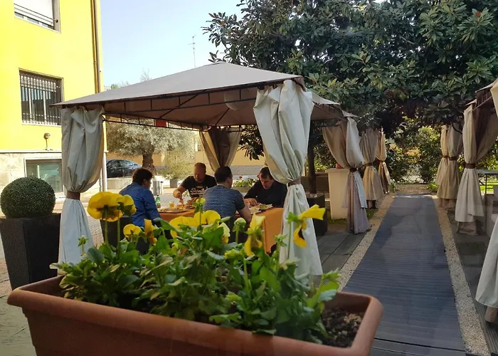 Hotel Ping Pong: Mihotel