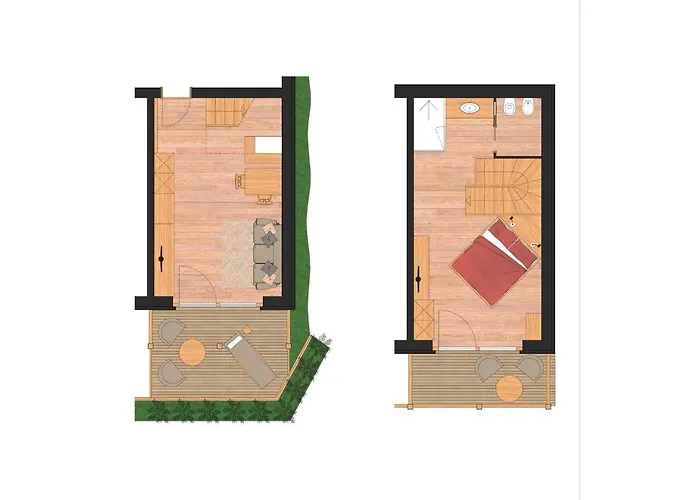Arnica Mountain